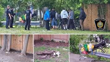 Wanted man arrested in the Laurel Lea area. June 15, 2025. (Photo courtesy of the Sarnia Police Service)