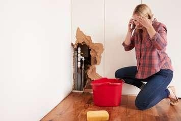 A woman calling for help after discovering a water leak. Photo by monkeybusinessimages / iStock / Getty Images Plus via Getty Images.