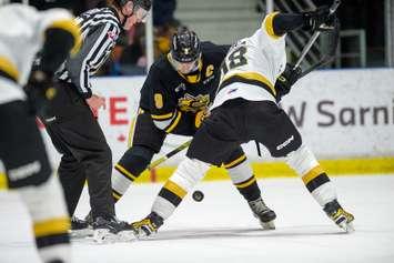 Sarnia Sting host Kingston Frontenac's at Progressive Auto Sales arena on March 10, 2024 (Metcalfe Photography)