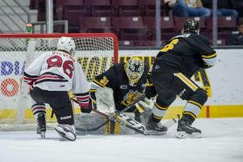 Guelph Storm at Sarnia, February 12, 2025. Photo by Metcalfe Photography. 