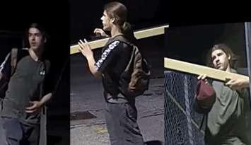 Screenshot of suspect accused of damaging parking gate. Video posted July 9, 2025. (Courtesy of Sarnia Police Service via X)
