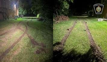 Impaired driver damages grass on Cobden Street - June 24/25 (Photo courtesy of Sarnia Police Service)